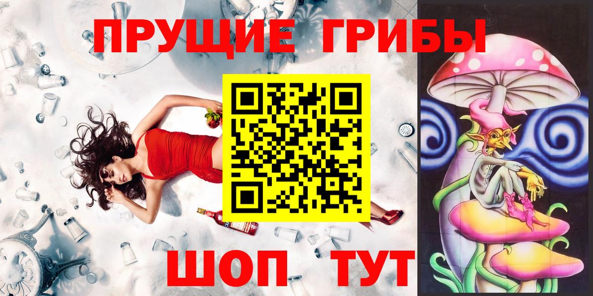Мценск  Псилоцибиновые грибы Cubensis  Вход с VPN 