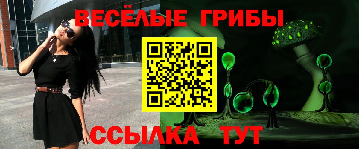 A PVP Мценск